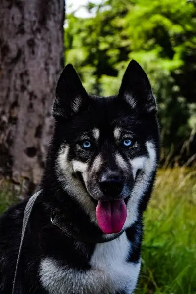 DSC_0042
